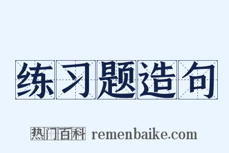 练习题造句是什么意思的图片